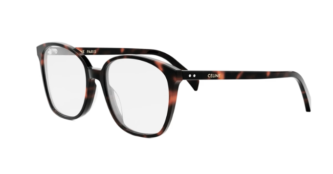 Celine 50115I