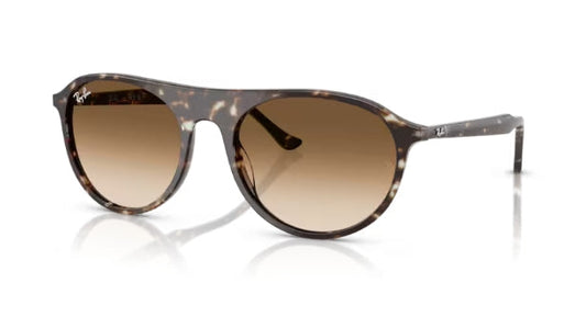Ray-Ban 2215 Sunglasses