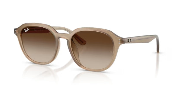 Ray-Ban 4459D Sunglasses