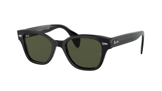 Ray-Ban 0880S Sunglasses