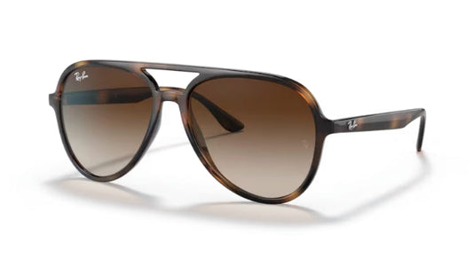 Ray-Ban 4376 Sunglasses