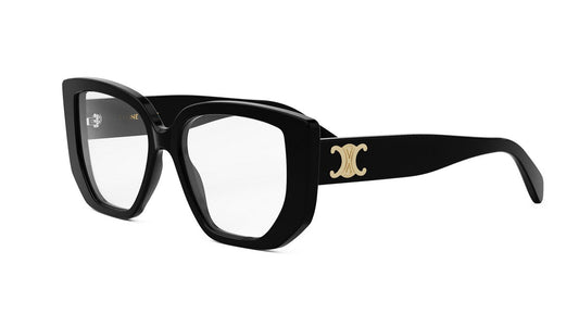 Celine Triomphe 50146I