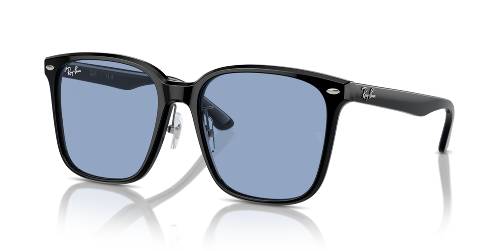 Ray-Ban 2206D Sunglasses