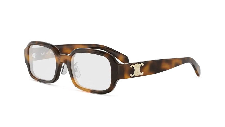 Celine 50173I