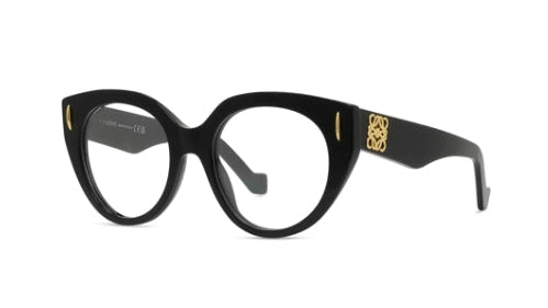 LOEWE 50081I