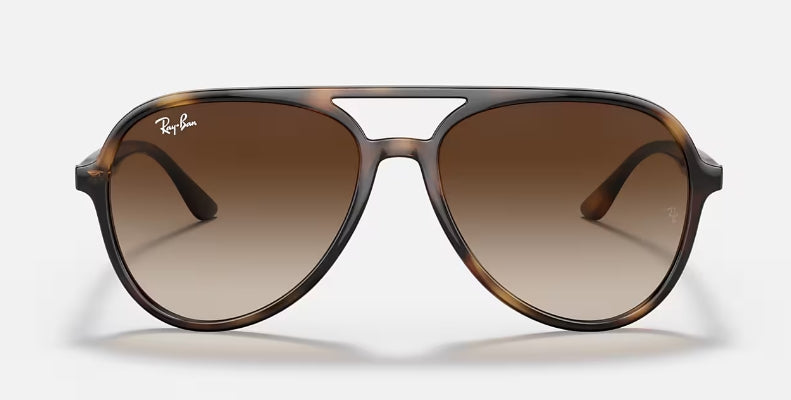 Ray-Ban 4376 Sunglasses