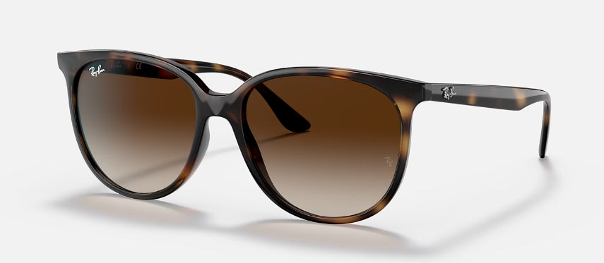 Ray-Ban 4378 Sunglasses