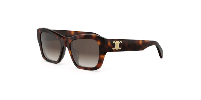 Celine 40330U Triomphe Sunglasses