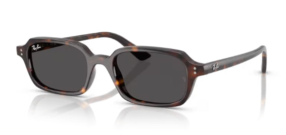 Ray-Ban 4455 Zuri Sunglasses