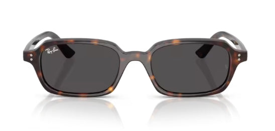 Ray-Ban 4455 Zuri Sunglasses