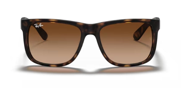 Ray-Ban 4165 Sunglasses