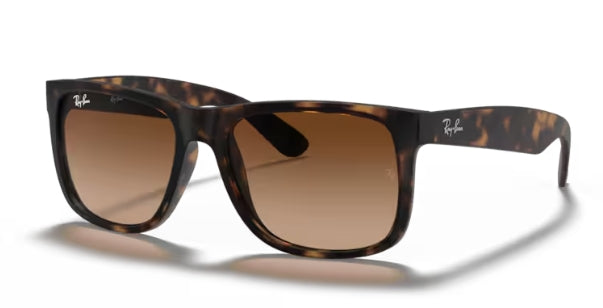 Ray-Ban 4165 Sunglasses