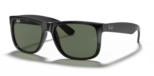 Ray-Ban 4165F Sunglasses