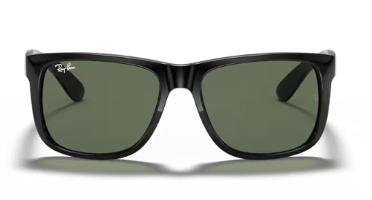 Ray-Ban 4165F Sunglasses