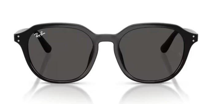 Ray-Ban 4459D Sunglasses