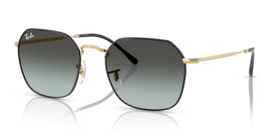 Ray-Ban 3694 Sunglasses