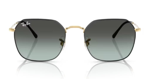 Ray-Ban 3694 Sunglasses