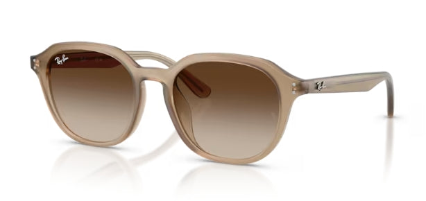 Ray-Ban 4459D Sunglasses