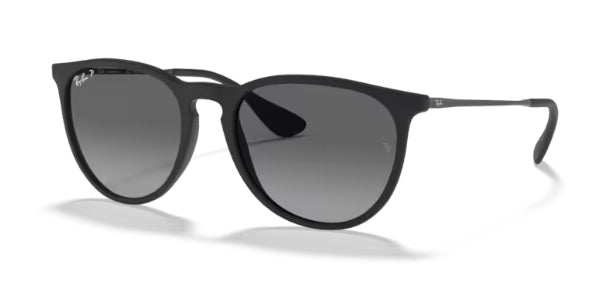 Ray-Ban 4171 Erika Sunglasses