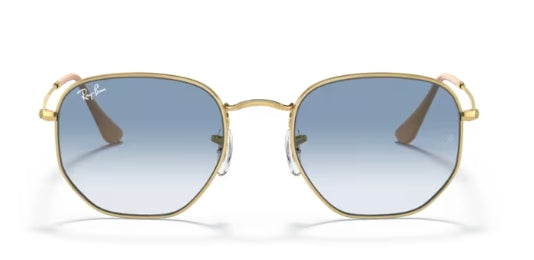 Ray-Ban 3548 Sunglasses
