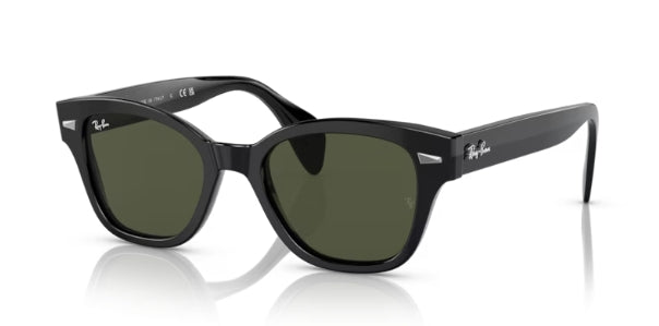 Ray-Ban 0880S Sunglasses