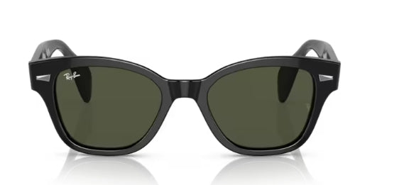Ray-Ban 0880S Sunglasses