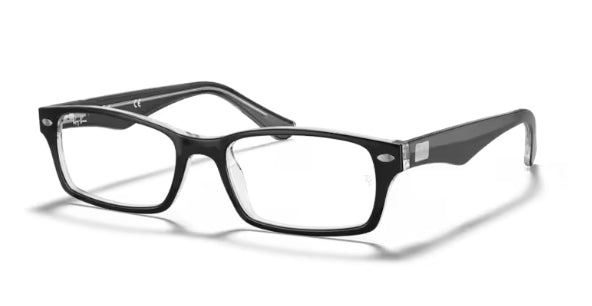 Ray-Ban 5206 Optics