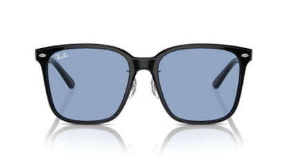 Ray-Ban 2206D Sunglasses