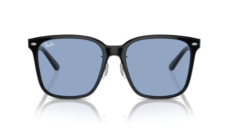 Ray-Ban 2206D Sunglasses
