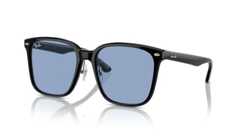 Ray-Ban 2206D Sunglasses