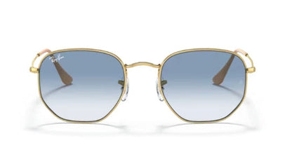 Ray-Ban 3548 Sunglasses