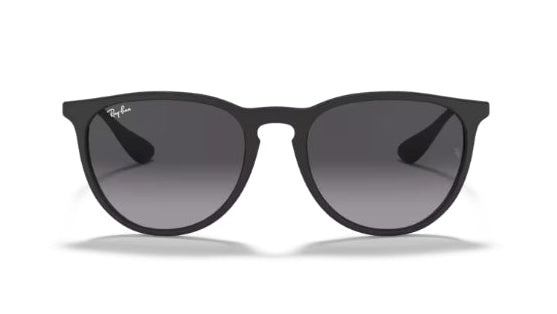 Ray-Ban 4171 Erika Sunglasses