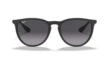 Ray-Ban 4171 Erika Sunglasses