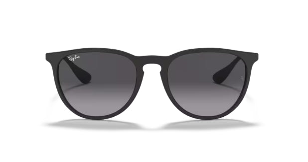 Ray-Ban 4171 Erika Sunglasses