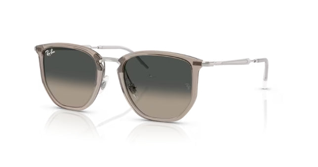 Ray-Ban 4451 Sunglasses