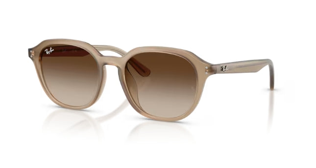 Ray-Ban 4459D Sunglasses