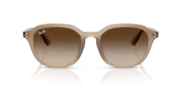 Ray-Ban 4459D Sunglasses
