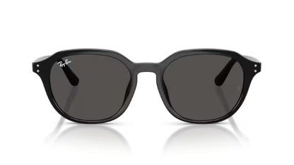 Ray-Ban 4459D Sunglasses