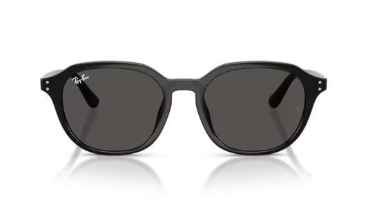 Ray-Ban 4459D Sunglasses