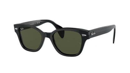 Ray-Ban 0880S Sunglasses