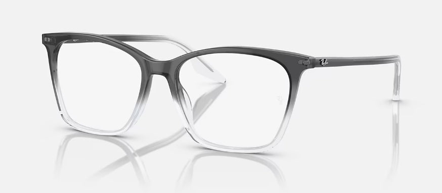 Ray-Ban 5422 Optics