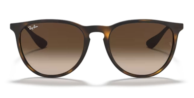Ray-Ban 4171 Erika Sunglasses