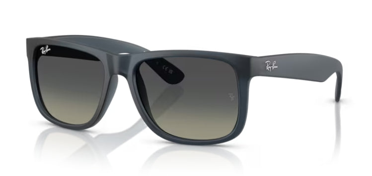 Ray-Ban 4165 Sunglasses