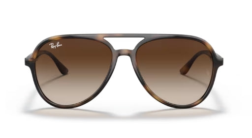 Ray-Ban 4376 Sunglasses