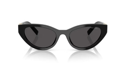 Miu Miu SMU A04-F Sunglasses